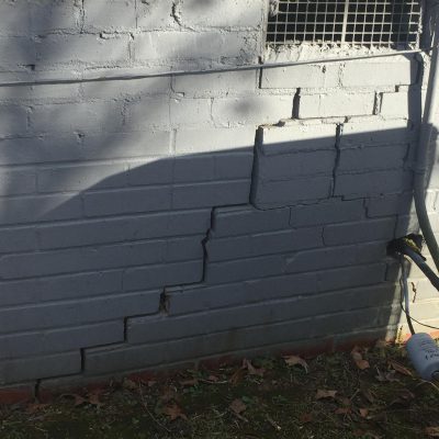 WhatsApp Image 2026-01-20 at 3.41.55 AM (1)