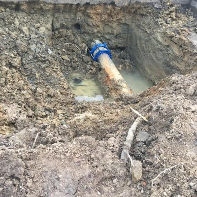 WhatsApp Image 2026-01-20 at 3.44.40 AM