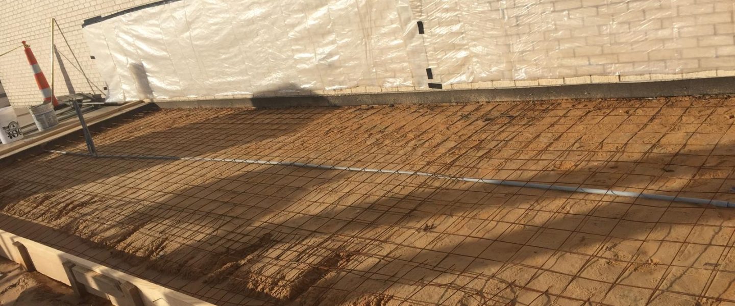 WhatsApp Image 2026-01-20 at 3.44.41 AM (5)