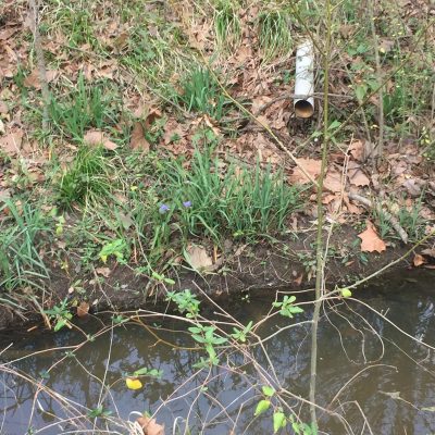 WhatsApp Image 2026-01-20 at 3.45.35 AM (1)