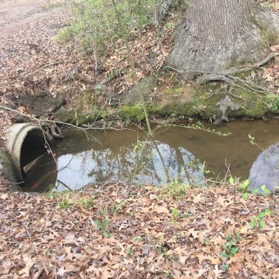 WhatsApp Image 2026-01-20 at 3.45.35 AM (2)