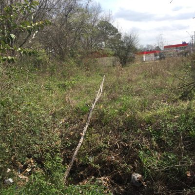 WhatsApp Image 2026-01-20 at 3.45.35 AM (3)