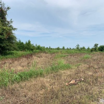 WhatsApp Image 2026-01-20 at 4.32.37 AM (1)