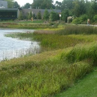 dbfd61f929a5185d39c4945dbb48f539